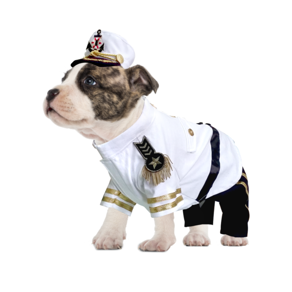 Halloween Costumes Dogs PNG Pic