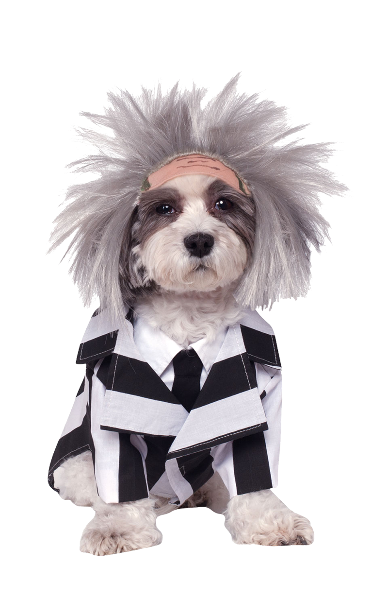 Halloween Costumes Dogs PNG