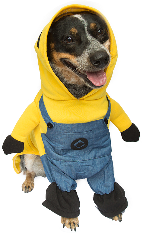 Halloween Costumes Dogs Transparent PNG