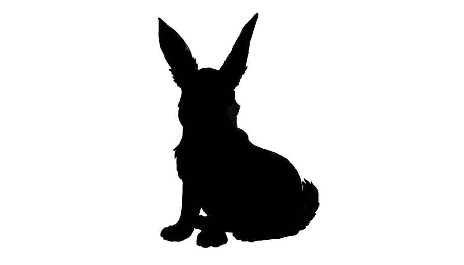 Hares Download PNG Image