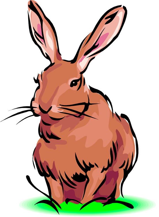 Hares PNG Clipart