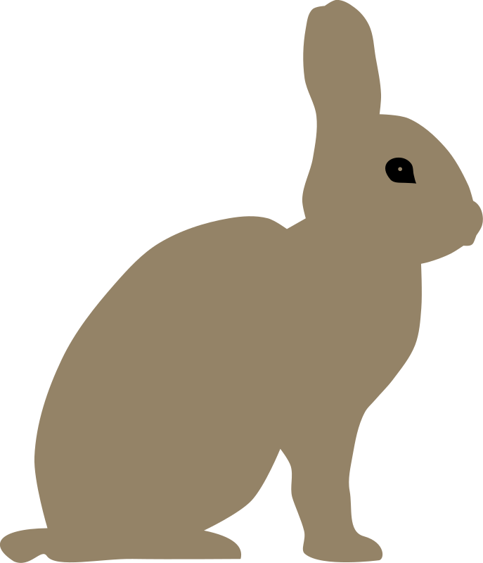 Hares PNG HD