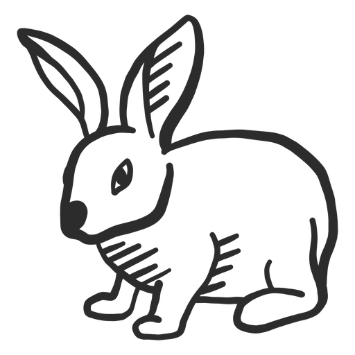 Hares PNG Image