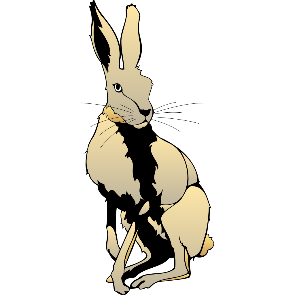 Hares PNG Isolated File