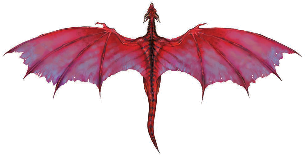 Harry Potter Dragons Dragon PNG Isolated HD