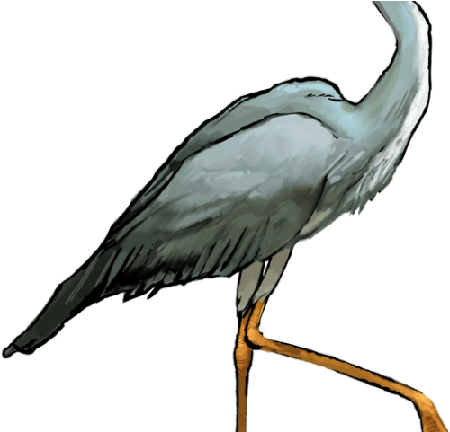 Herons PNG Isolated Pic