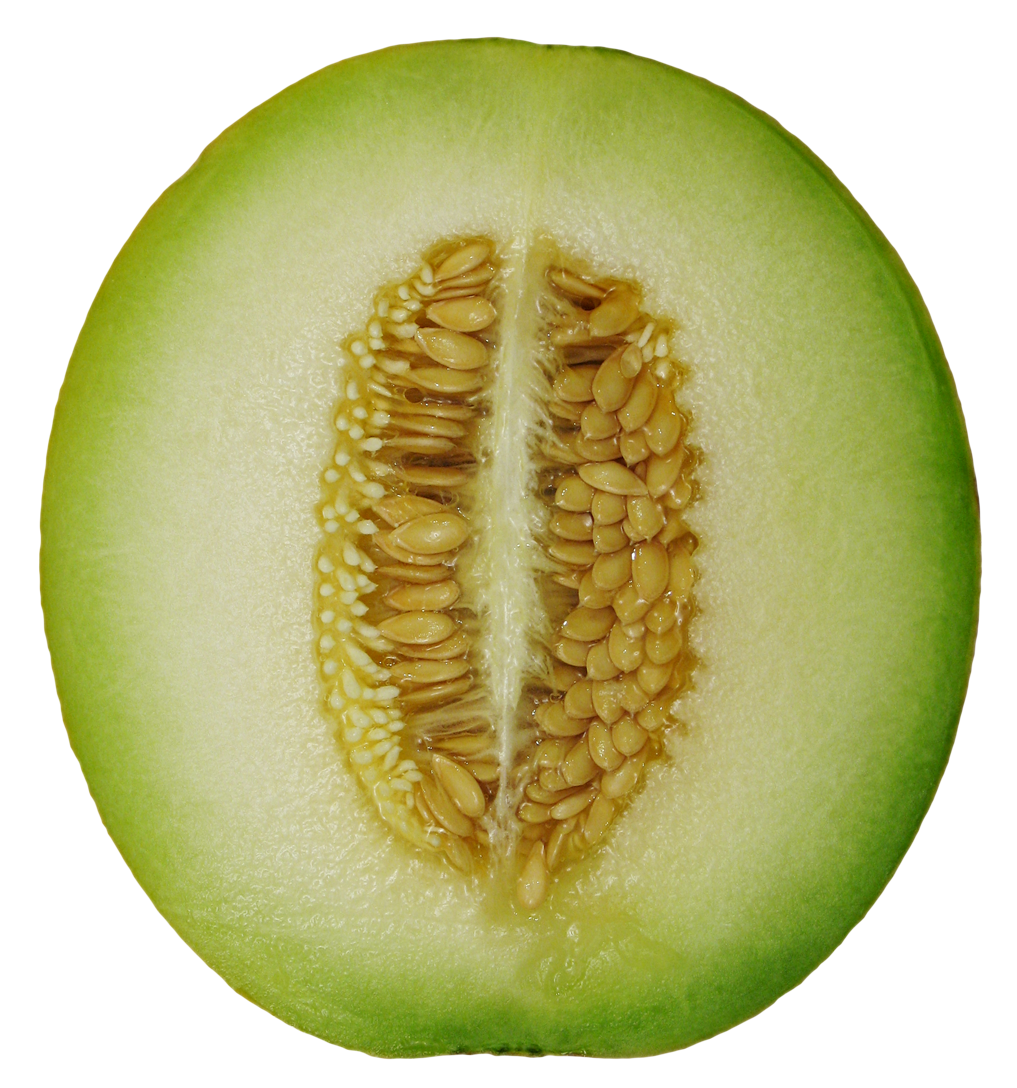 Honeydew melon PNG Free Download