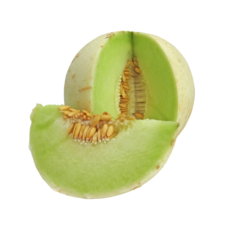 Honeydew melon PNG Isolated Photo