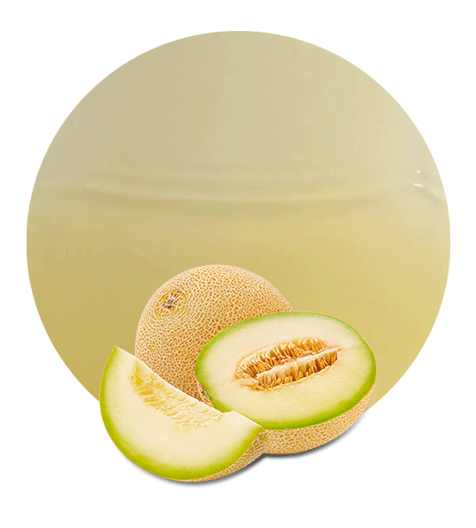 Honeydew melon PNG Photo
