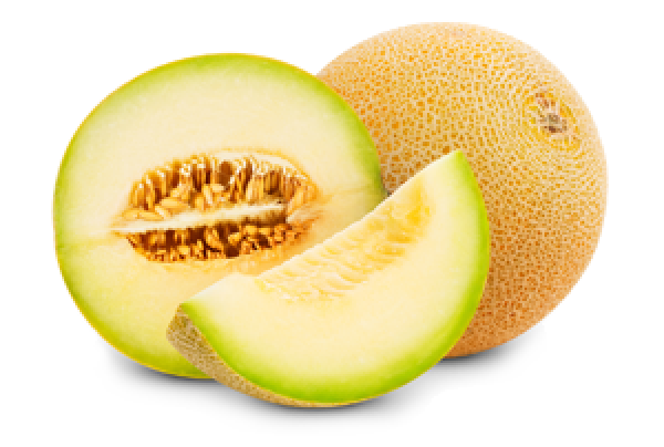Honeydew melon PNG