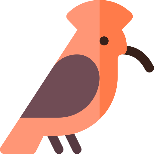 Hoopoes PNG HD Isolated