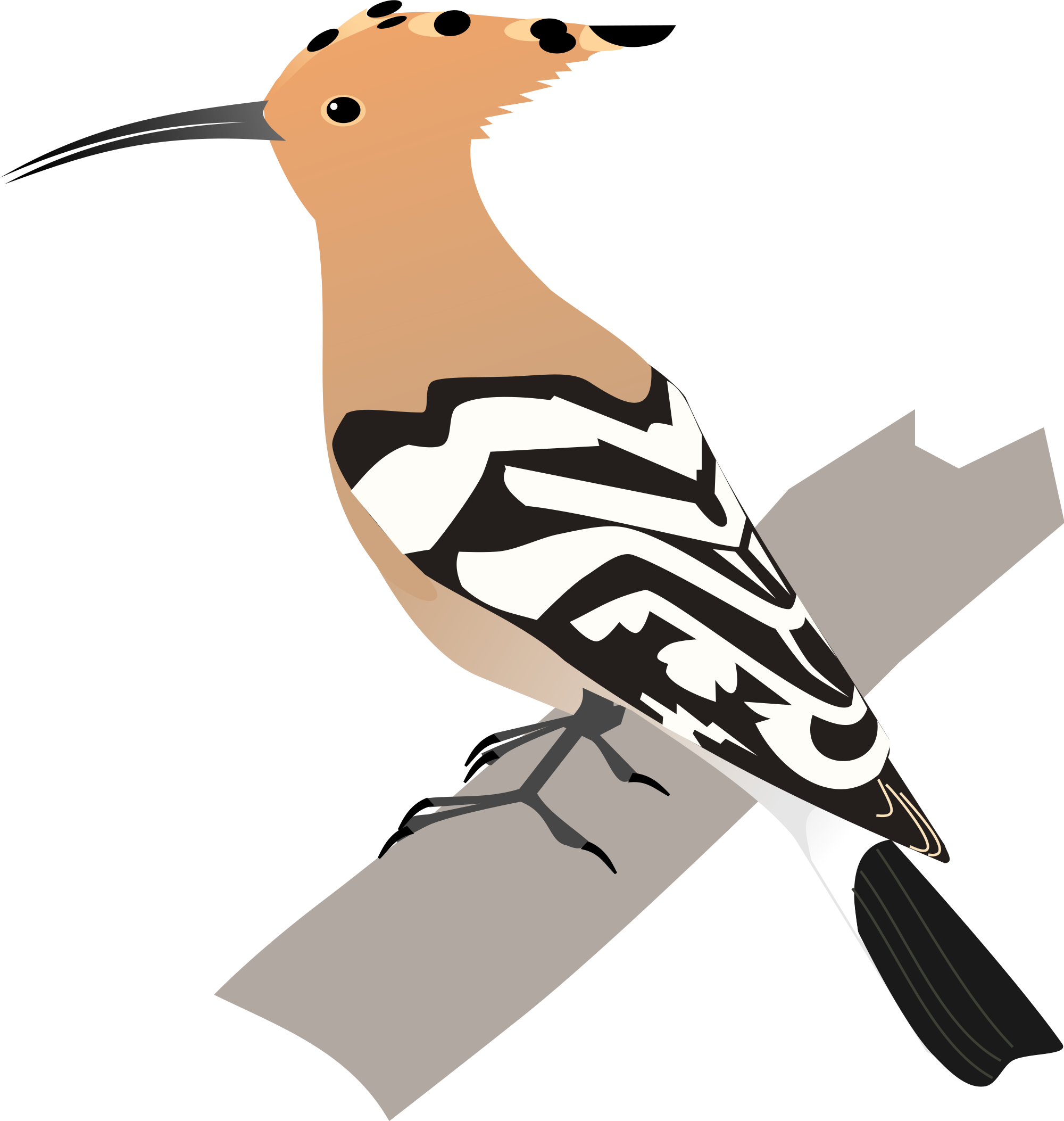 Hoopoes PNG Isolated Pic