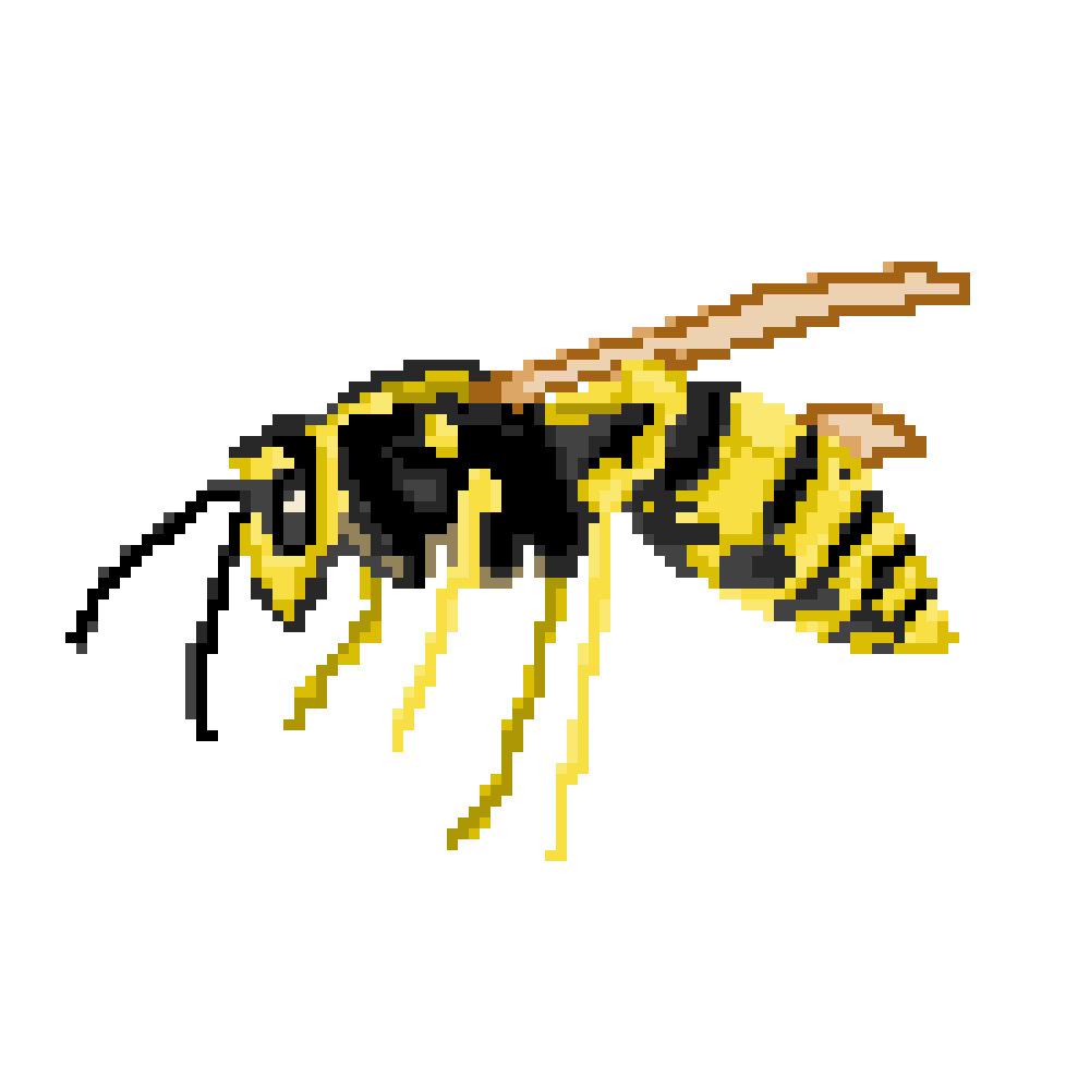 Hornet Insect PNG HD Isolated
