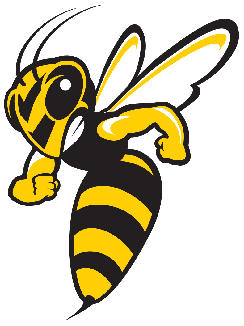 Hornet Insect PNG Picture