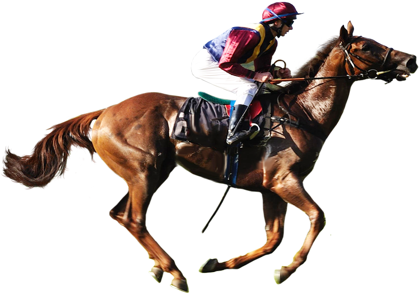 Horse Racing PNG HD Isolated