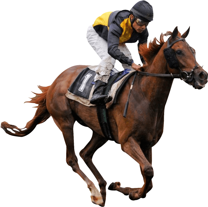 Horse Racing PNG Isolated HD
