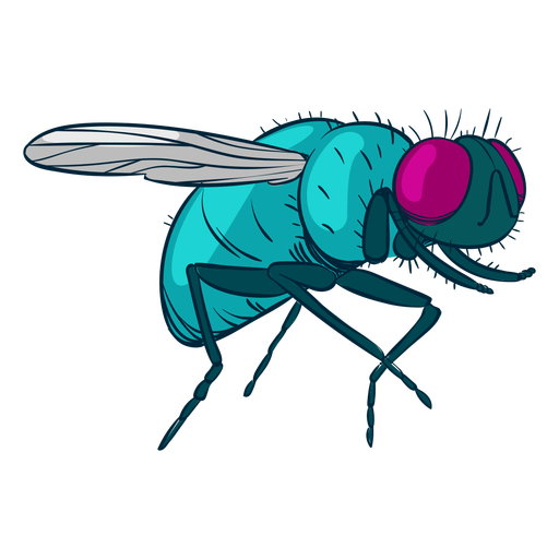 Housefly PNG Isolated Photo