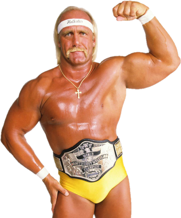 Hulk Hogan PNG Photos