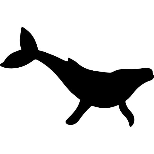 Humpback Whale PNG HD Isolated