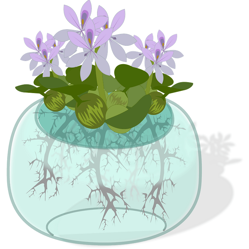 Hyacinth PNG Isolated Clipart