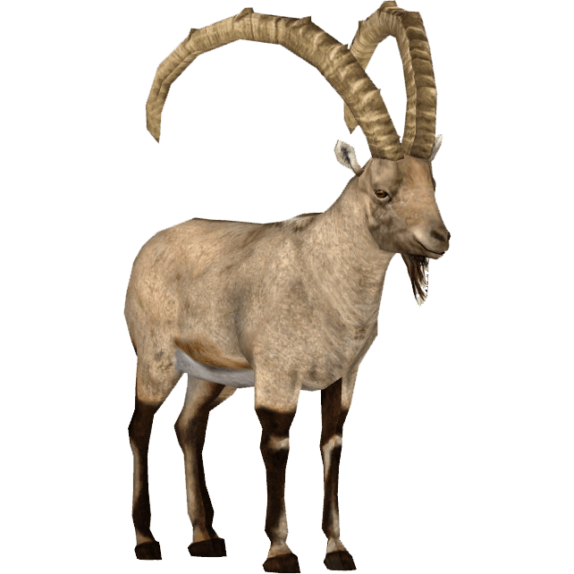 Ibex PNG Clipart