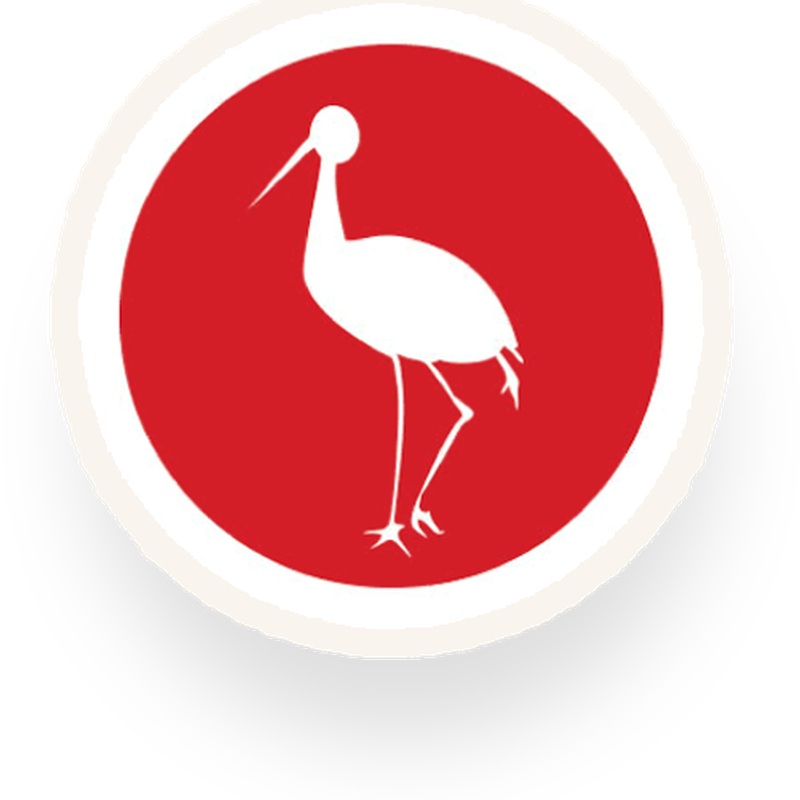 Ibis PNG Clipart
