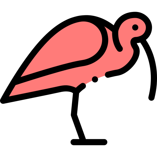 Ibis PNG Isolated Image