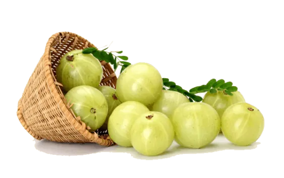 Indian Gooseberry PNG HD