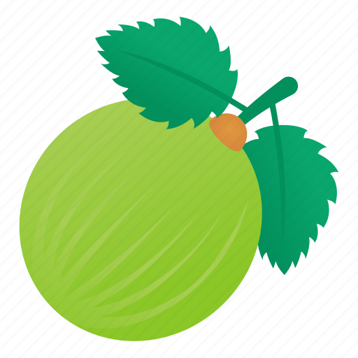 Indian Gooseberry PNG Image