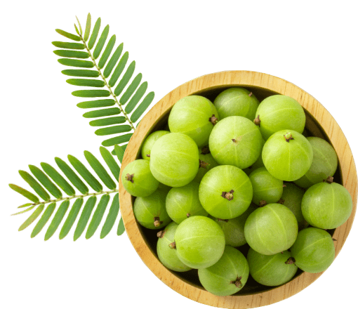 Indian Gooseberry PNG