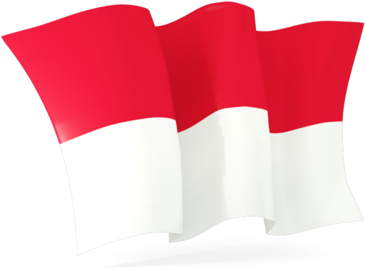 Indonesia Flag PNG Isolated Photo