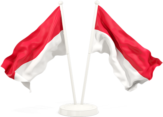 Indonesia Flag PNG Isolated Pic