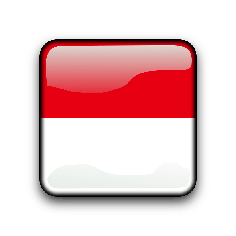Indonesia Flag PNG Photo