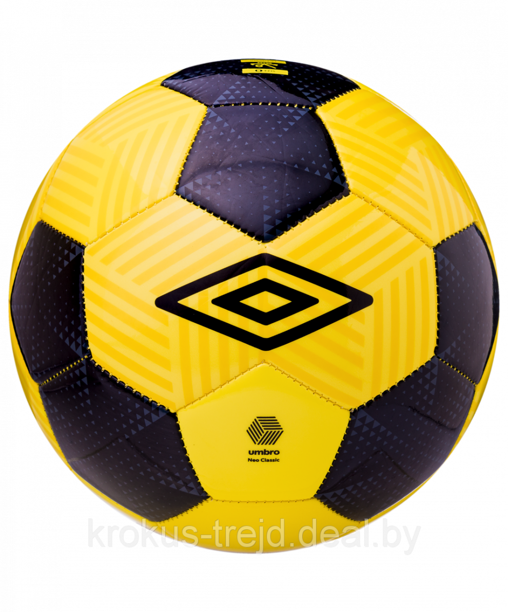 Indoor Ball PNG Pic