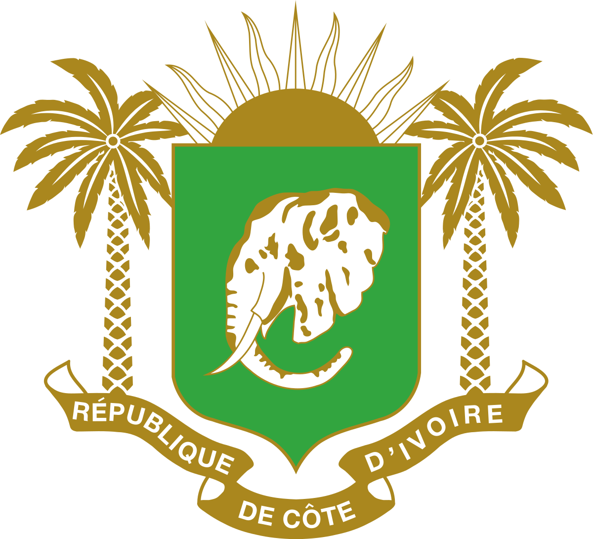 Ivory Coast Flag PNG Isolated Image