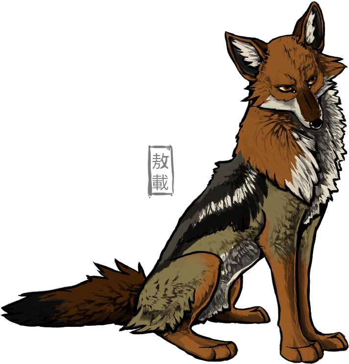 Jackal PNG Isolated File