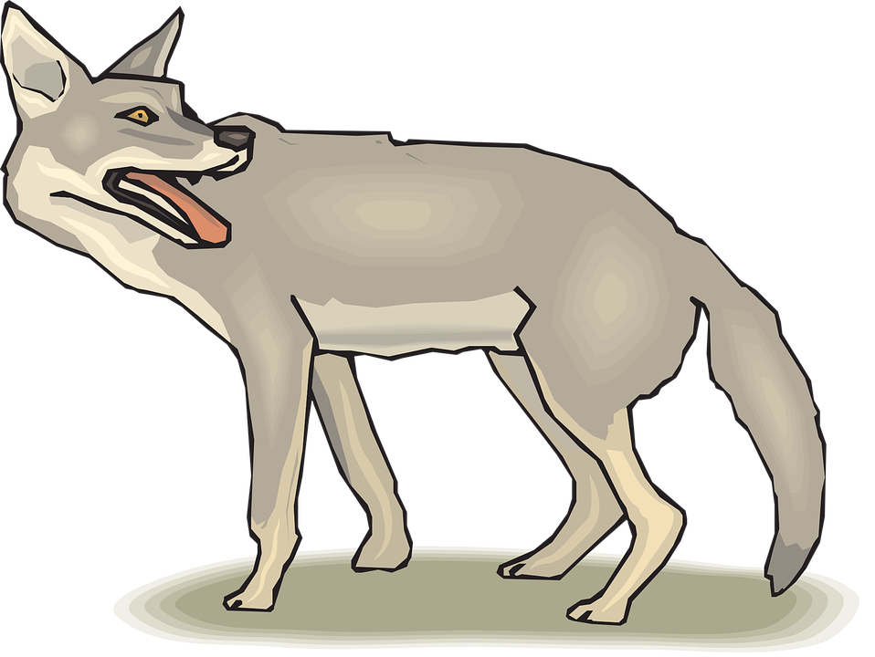 Jackal PNG Isolated Image