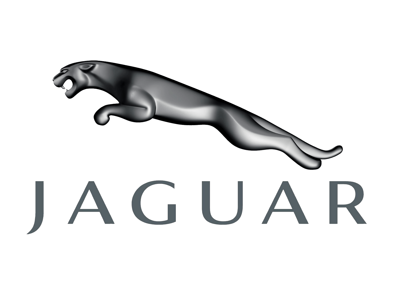 Jaguar Logo Transparent PNG
