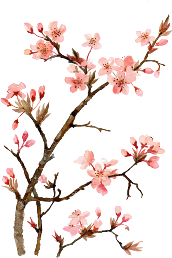 Japanese Art PNG Picture