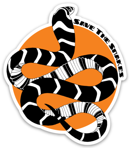 Kingsnakes PNG HD Isolated
