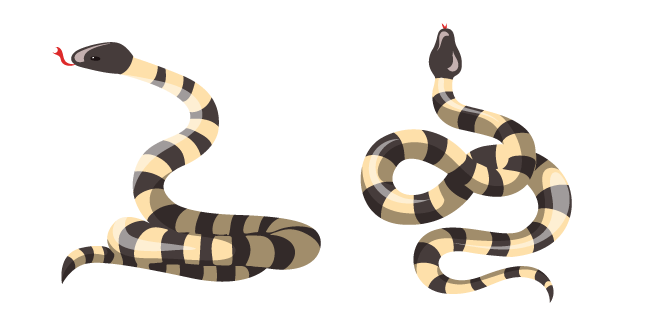 Kingsnakes PNG Isolated HD