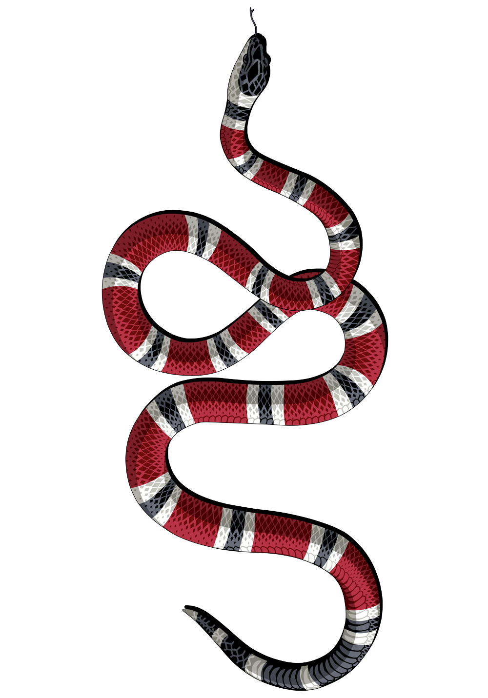 Kingsnakes PNG Isolated Photo