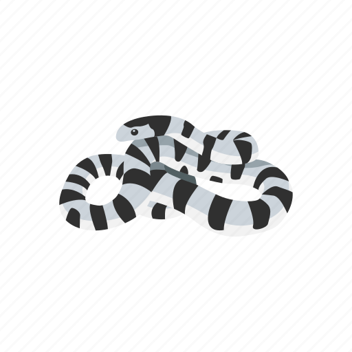 Kingsnakes PNG Picture