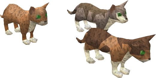 Kittens PNG Image