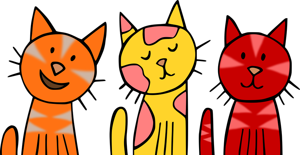 Kittens PNG Isolated File