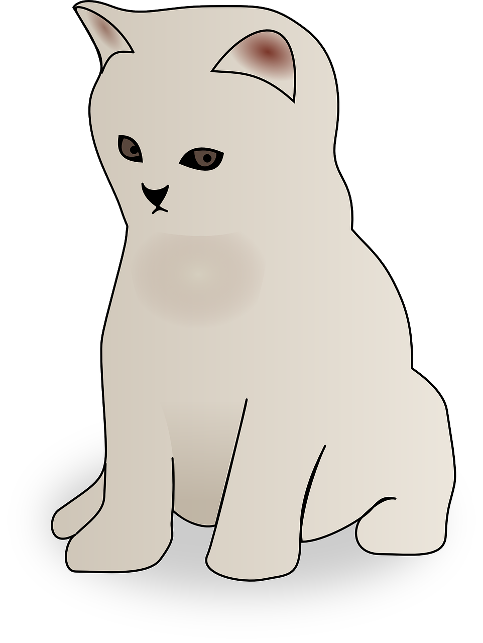 Kittens PNG Picture