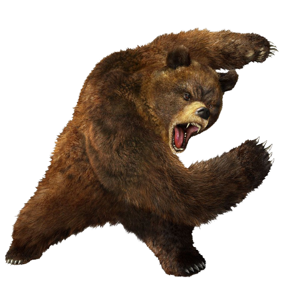 Kodiak Brown Bear PNG Image