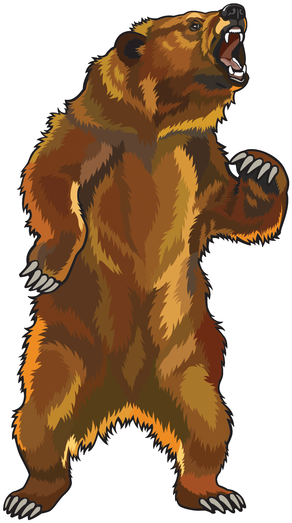 Kodiak Brown Bear Transparent PNG
