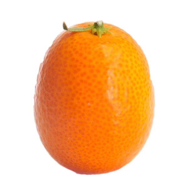 Kumquat PNG Isolated Pic