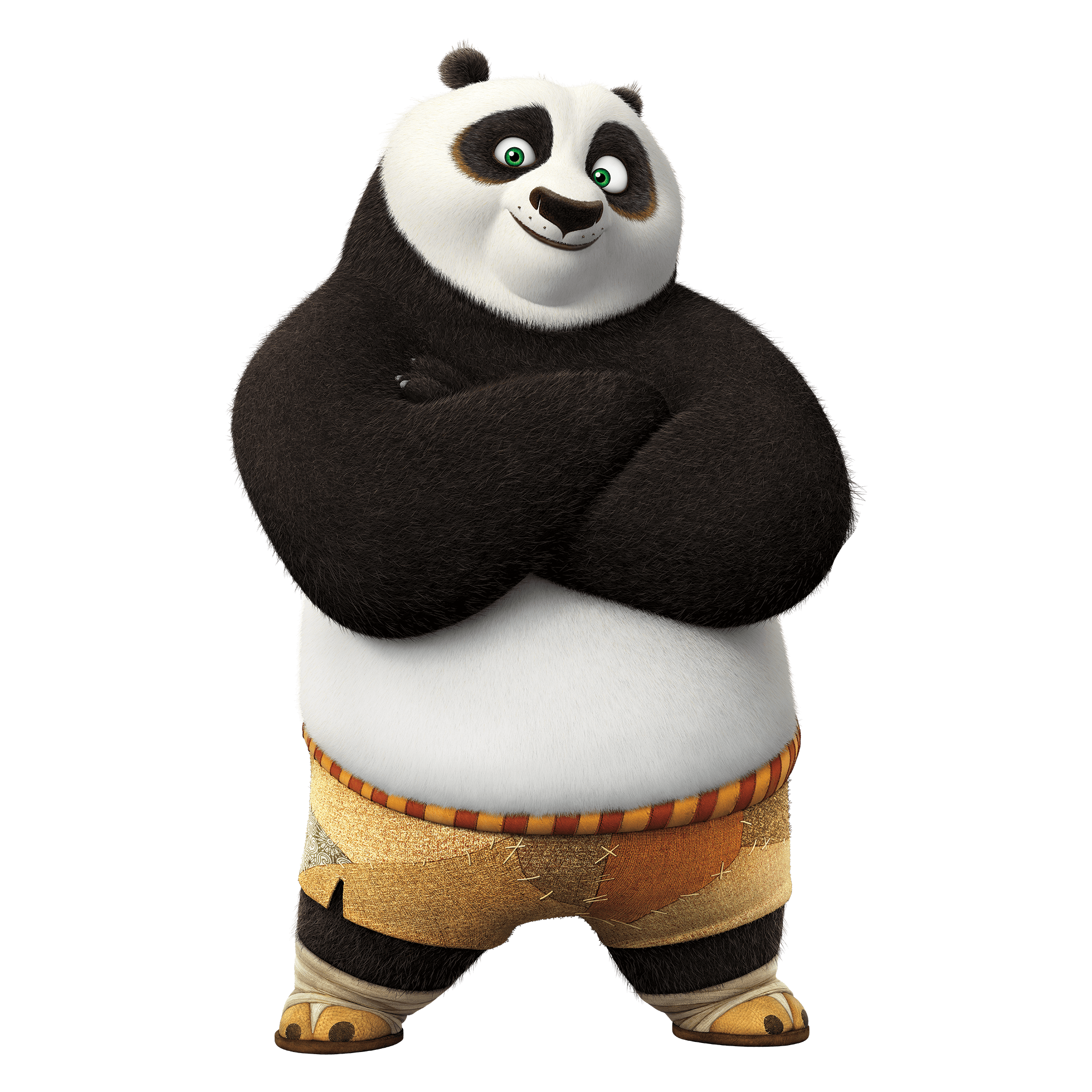 Kung Fu PNG Isolated HD